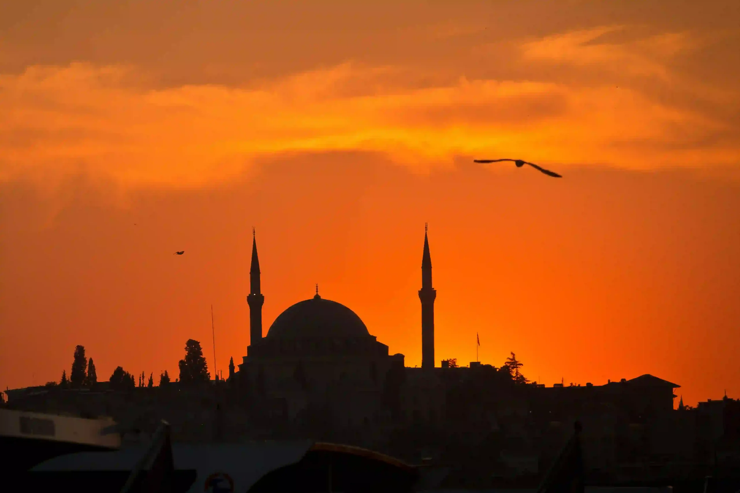 Surah An-Nahl: 9 Powerful Divine Systems Hidden in Nature You’re Missing Out On